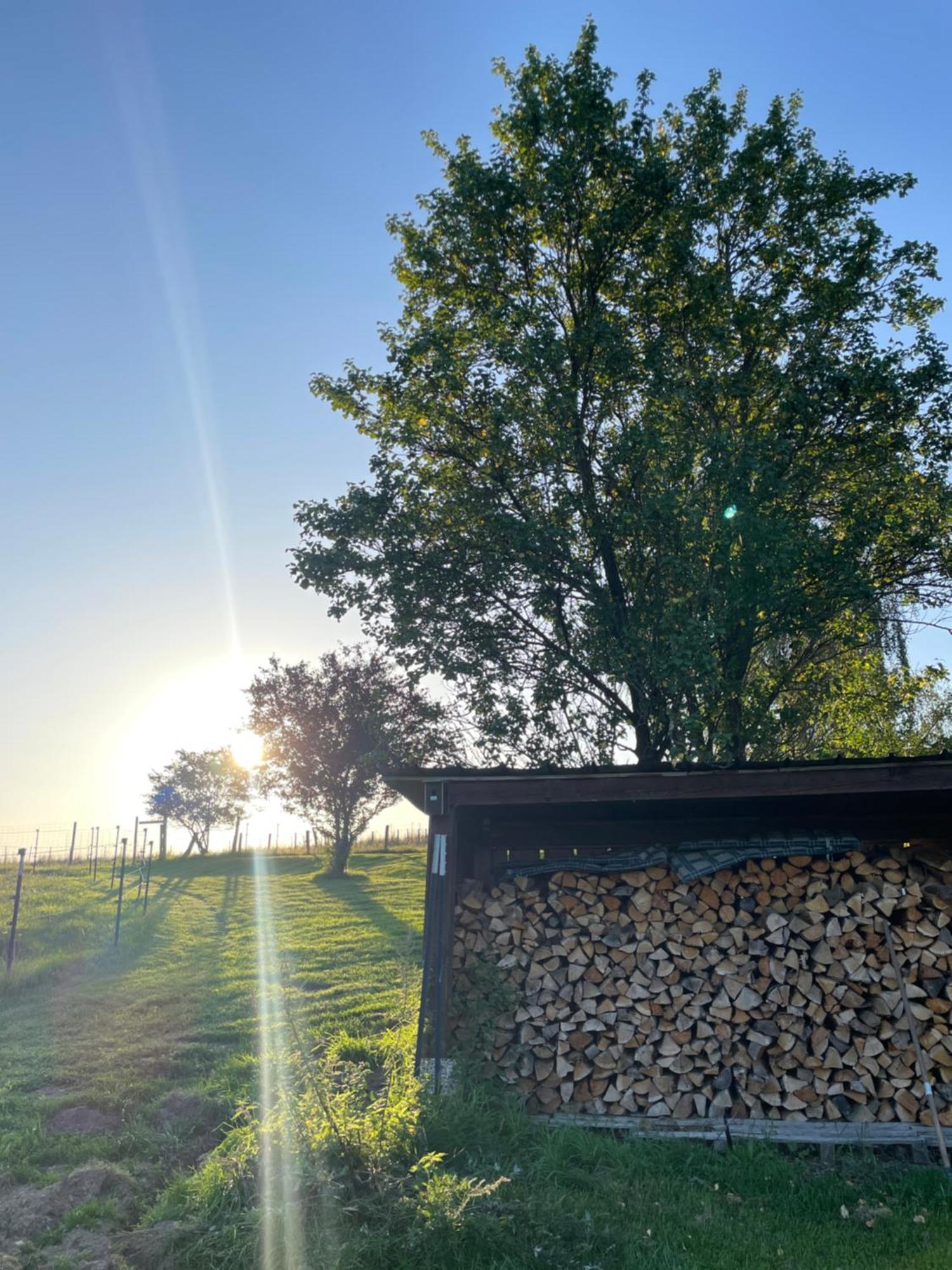 Auszeit Altenhorst, Gartenferienwohnung Schalksmuhle Exteriér fotografie