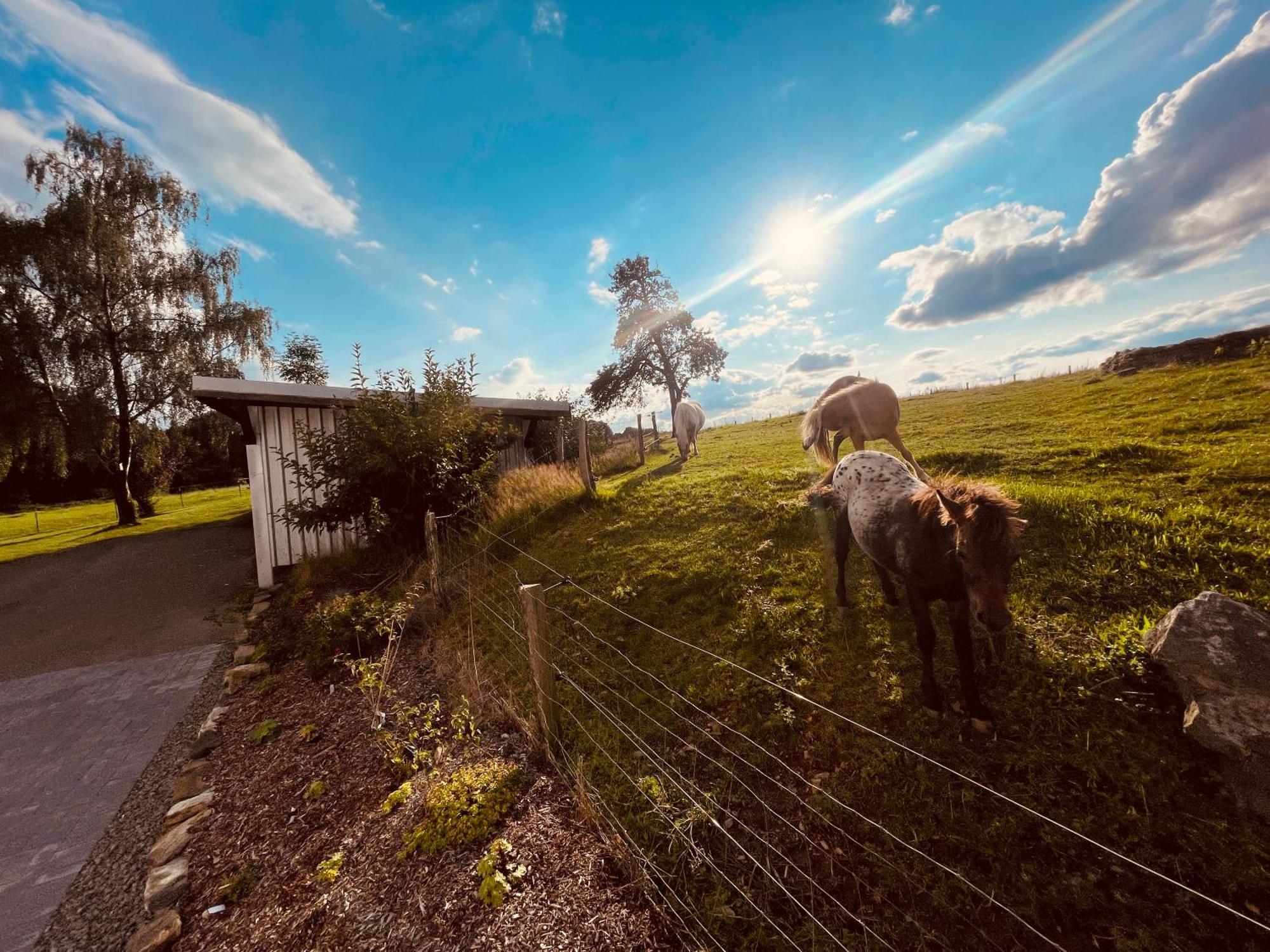 Auszeit Altenhorst, Gartenferienwohnung Schalksmuhle Exteriér fotografie